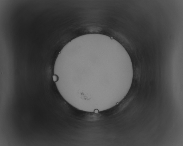 X0000101160321200806270738