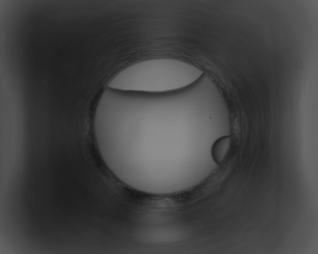 X0000101160322200806270738