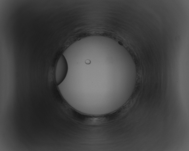X0000101160323200806270738