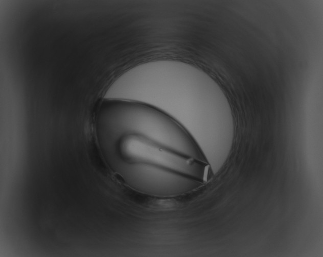 X0000101160324200806270738