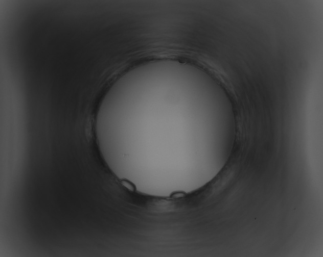 X0000101160325200806270738