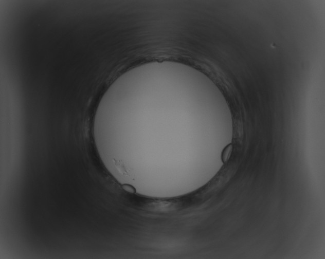 X0000101160326200806270738