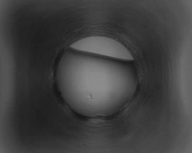 X0000101160327200806270738