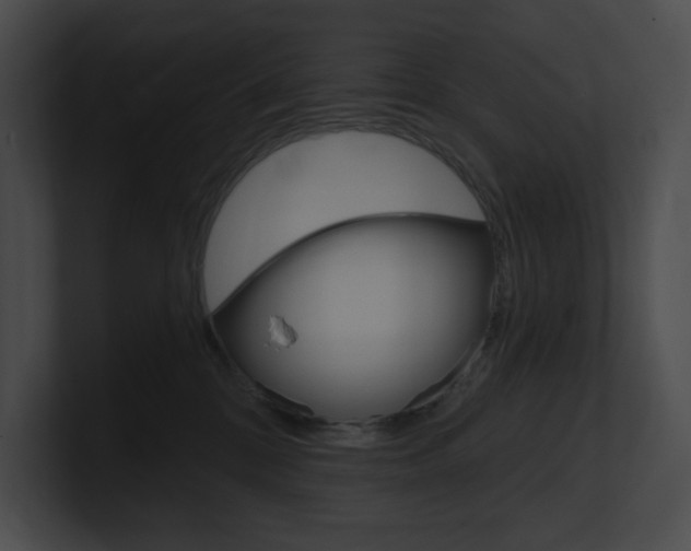 X0000101160328200806270738