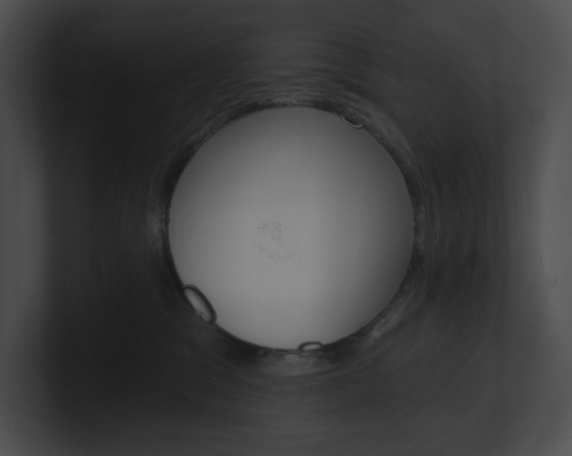 X0000101160329200806270738