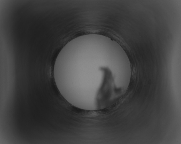 X0000101160330200806270738