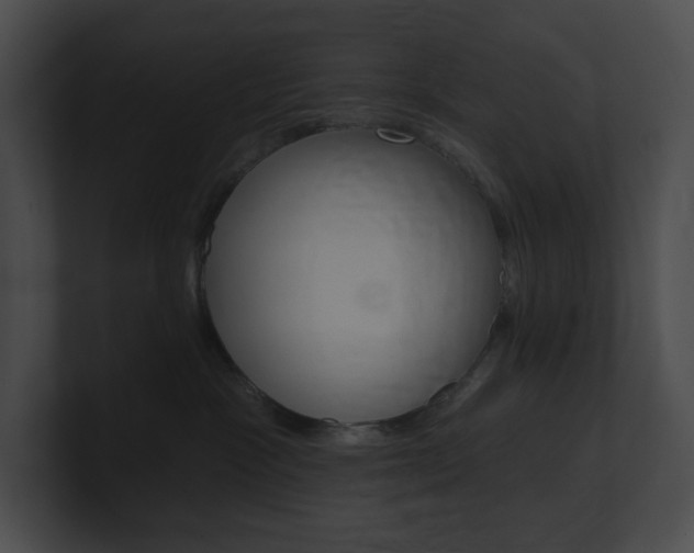 X0000101160333200806270738