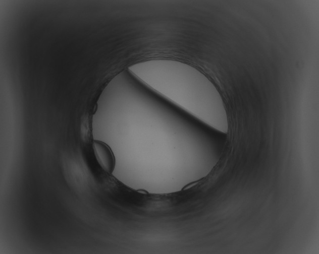 X0000101160335200806270738
