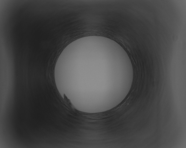 X0000101160336200806270738