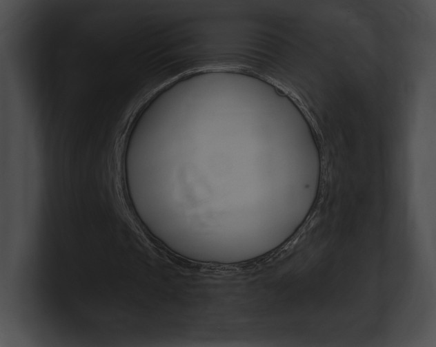 X0000101160337200806270737