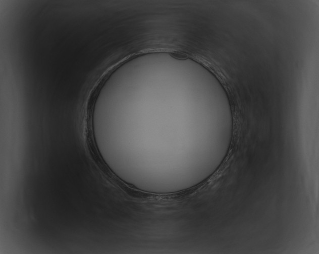 X0000101160338200806270737