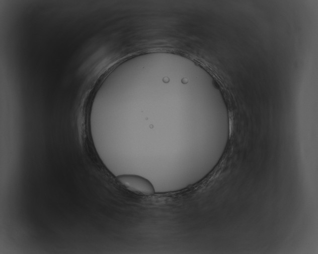X0000101160339200806270737