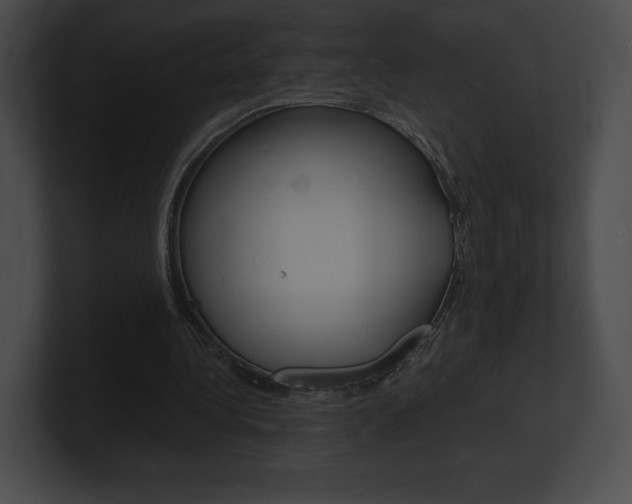 X0000101160340200806270737