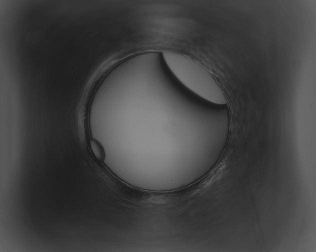 X0000101160341200806270737