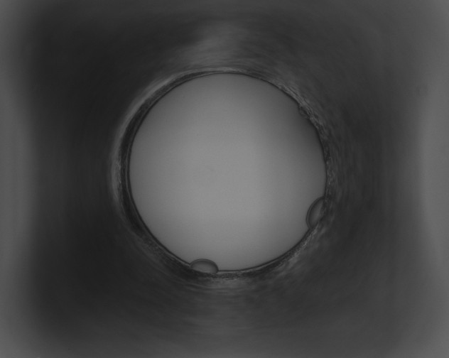 X0000101160342200806270737