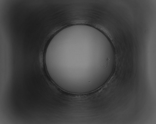 X0000101160345200806270737