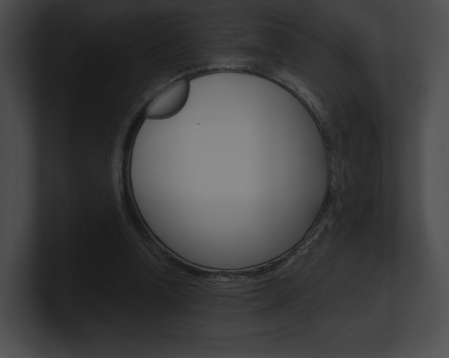 X0000101160346200806270737