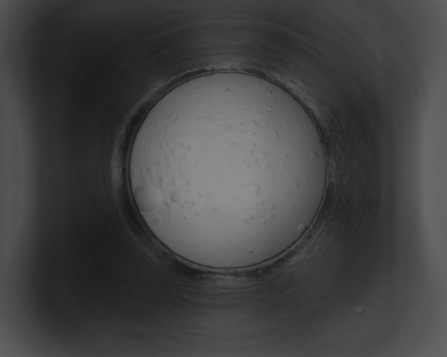X0000101160347200806270737