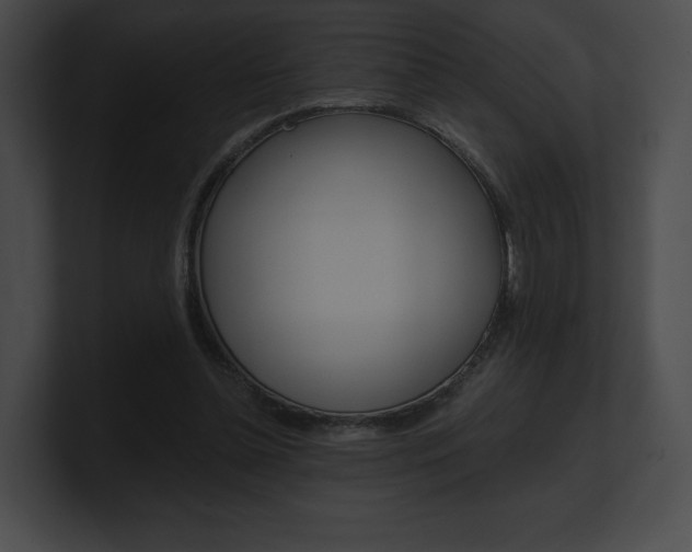 X0000101160348200806270737