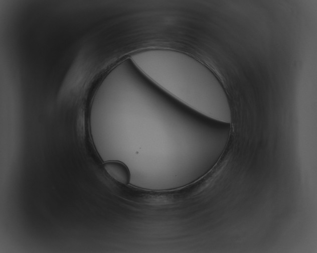 X0000101160349200806270737
