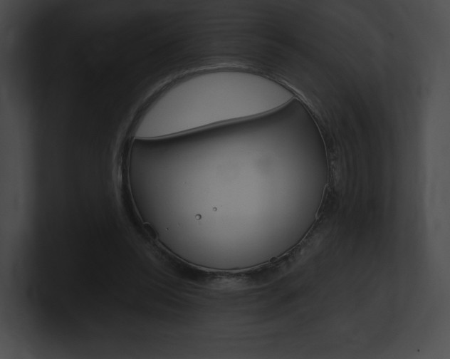 X0000101160350200806270737