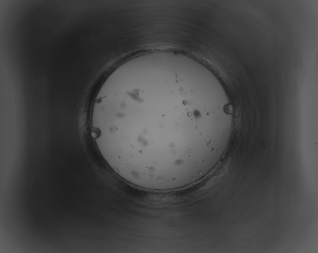 X0000101160351200806270737