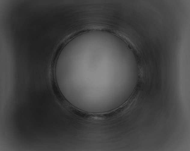 X0000101160352200806270737