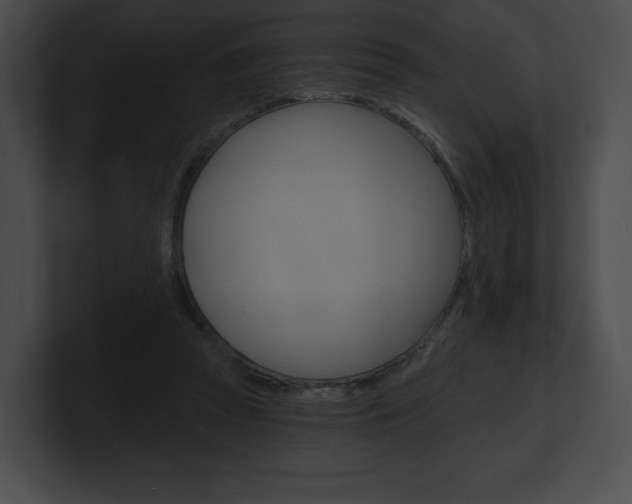 X0000101160353200806270737