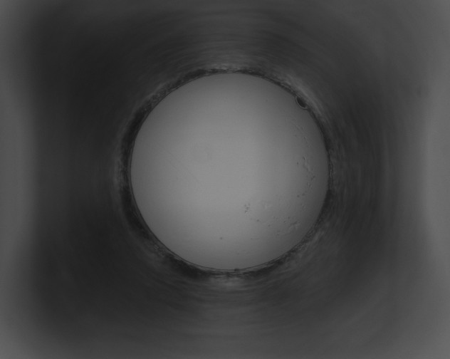 X0000101160354200806270737