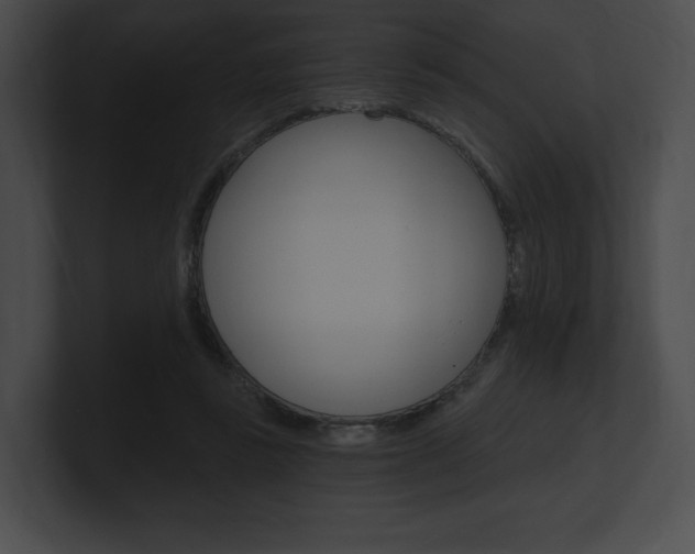 X0000101160355200806270737