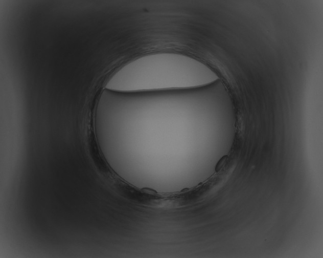 X0000101160356200806270737