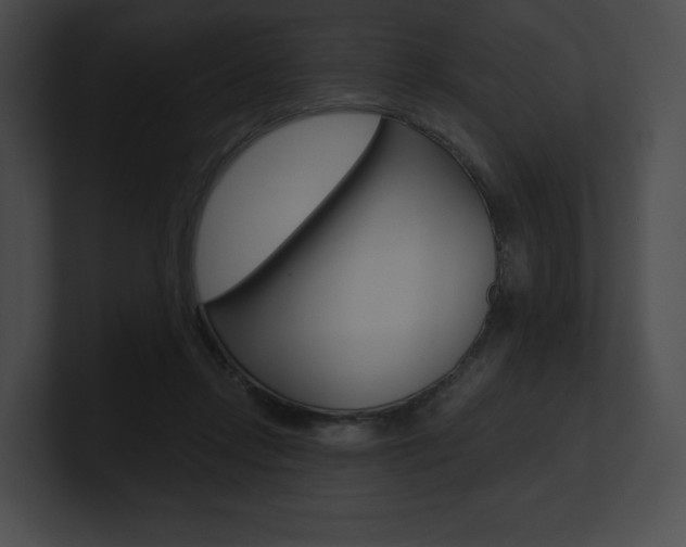 X0000101160358200806270738