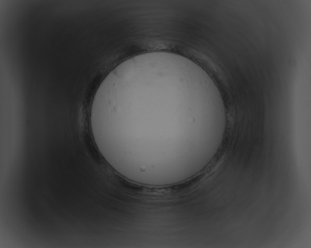X0000101160359200806270738