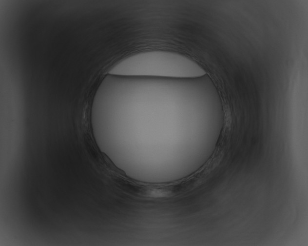 X0000101160360200806270738