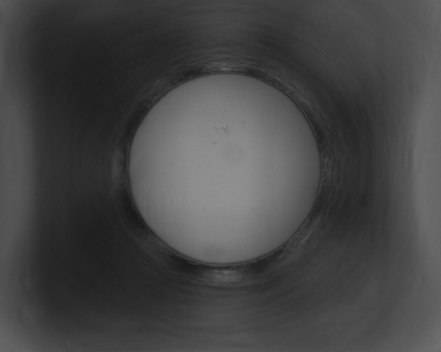 X0000101160361200806270738