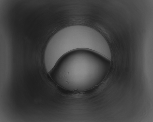 X0000101160362200806270738