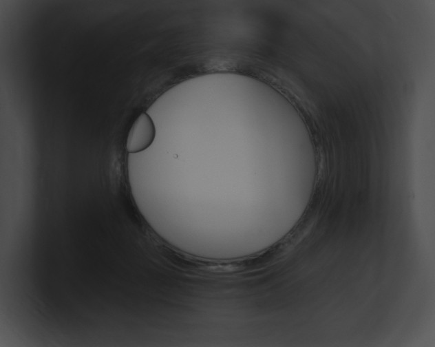 X0000101160363200806270738