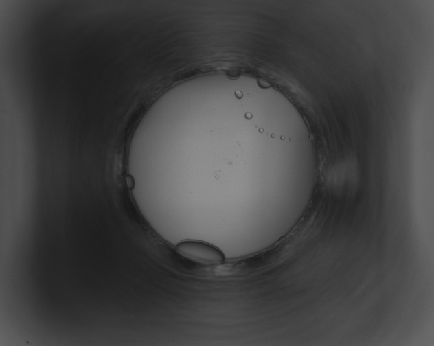 X0000101160365200806270738