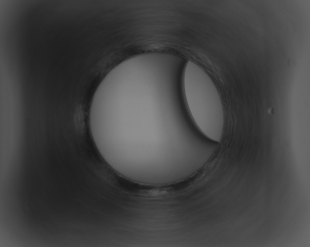 X0000101160366200806270738