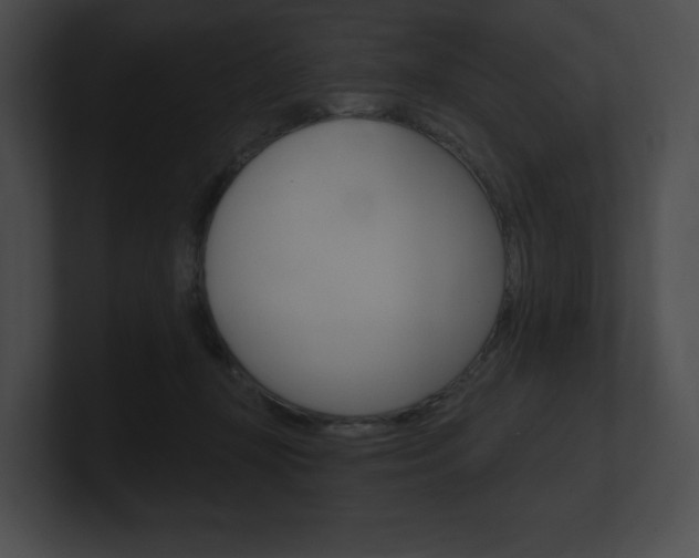 X0000101160367200806270738
