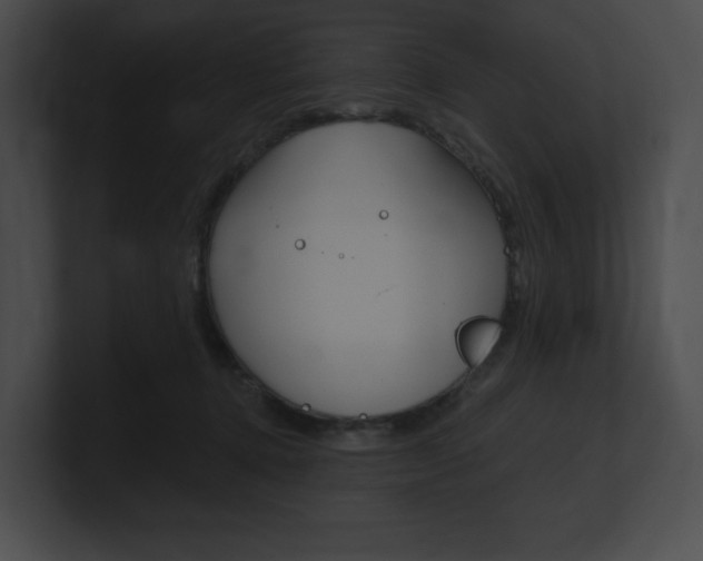 X0000101160368200806270738
