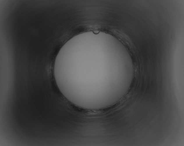 X0000101160369200806270738
