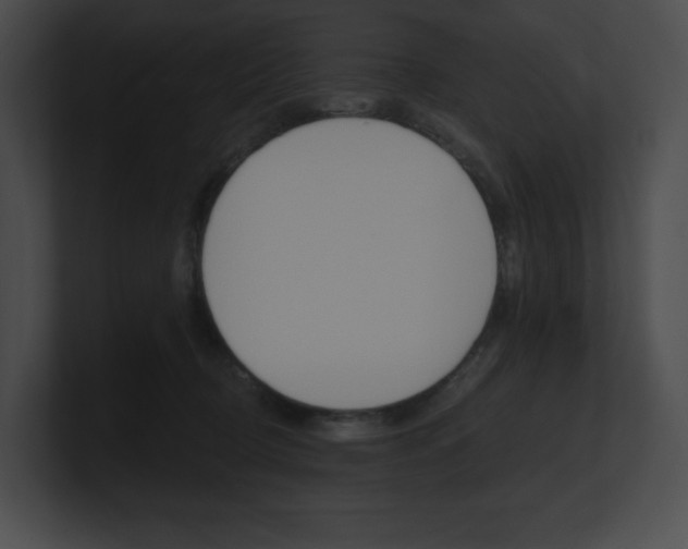 X0000101160370200806270738