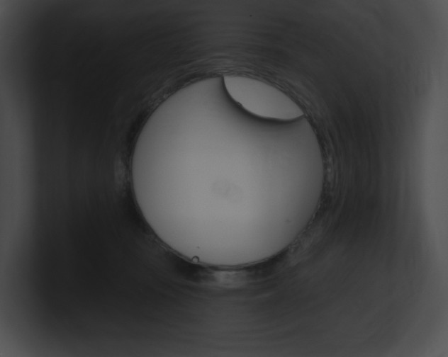 X0000101160371200806270738