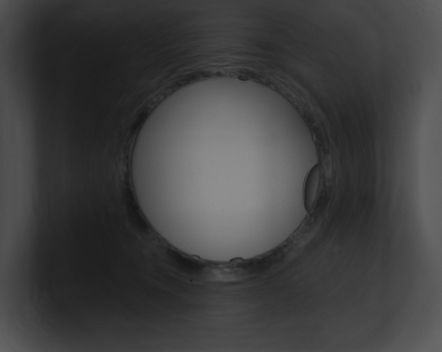 X0000101160372200806270738