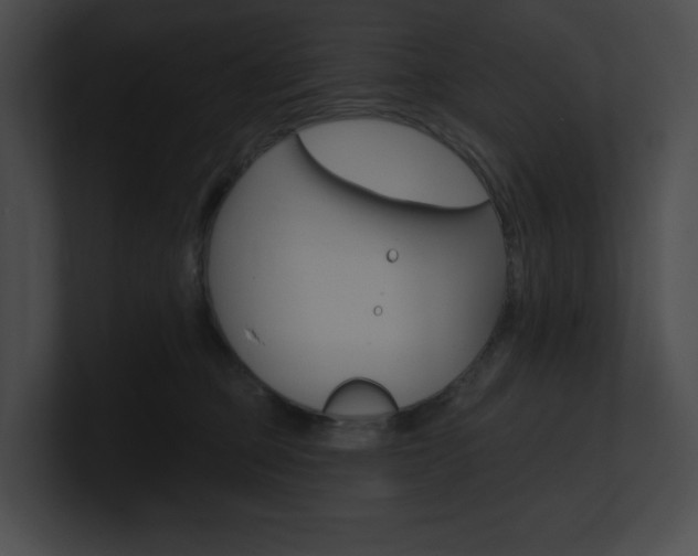 X0000101160373200806270738