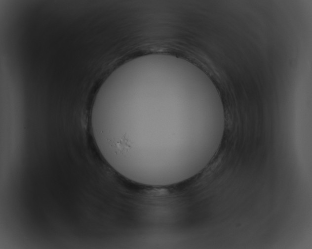 X0000101160374200806270738
