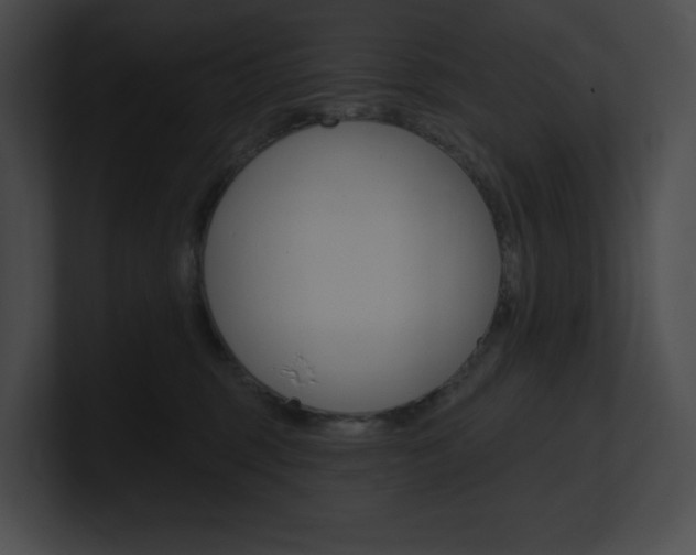 X0000101160375200806270738