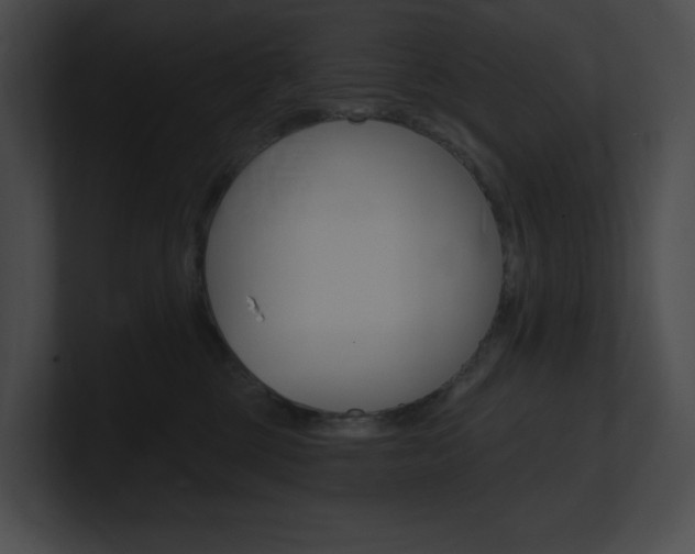 X0000101160377200806270738