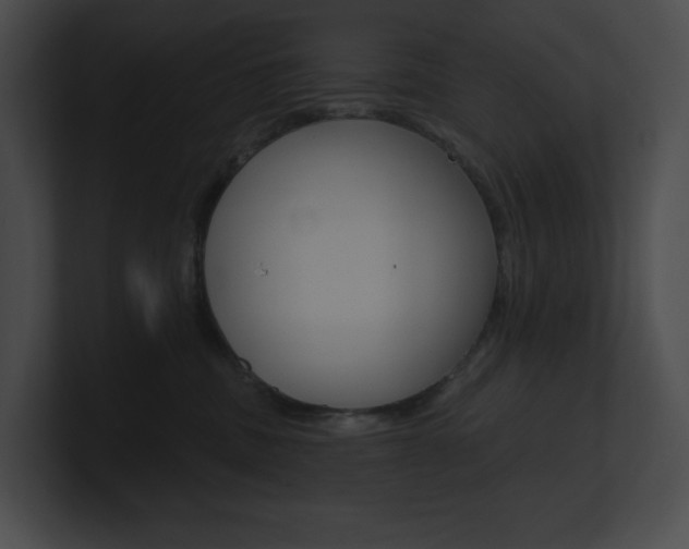 X0000101160379200806270738